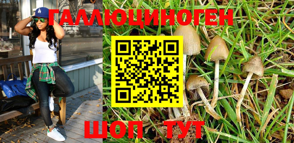 купить  цена  Иркутск  Псилоцибиновые грибы ЛСД 