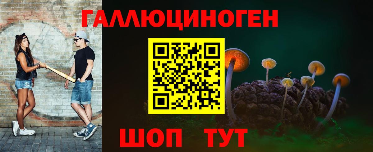 Псилоцибиновые грибы Psilocybe Иркутск