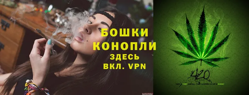 купить  цена  Иркутск  МАРИХУАНА SATIVA & INDICA 